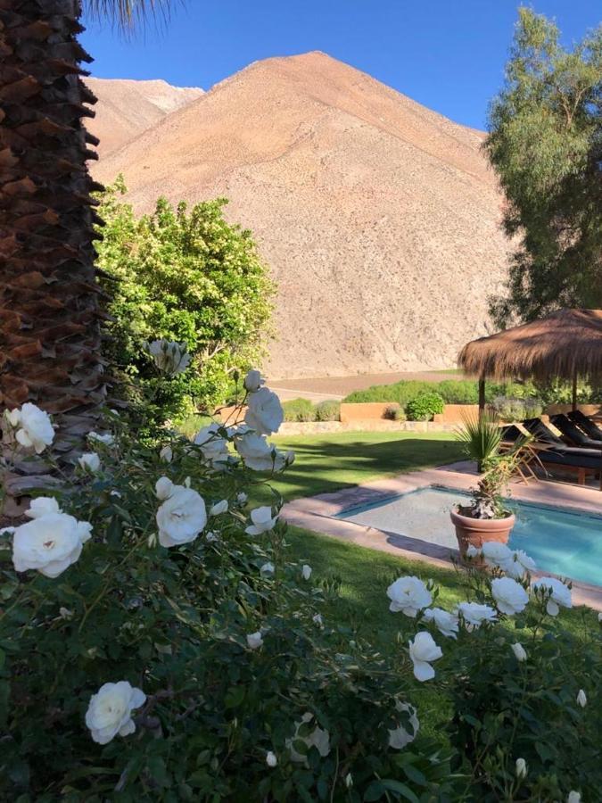 Refugio Misterios Del Elqui Bed & Breakfast Pisco Elqui Dış mekan fotoğraf