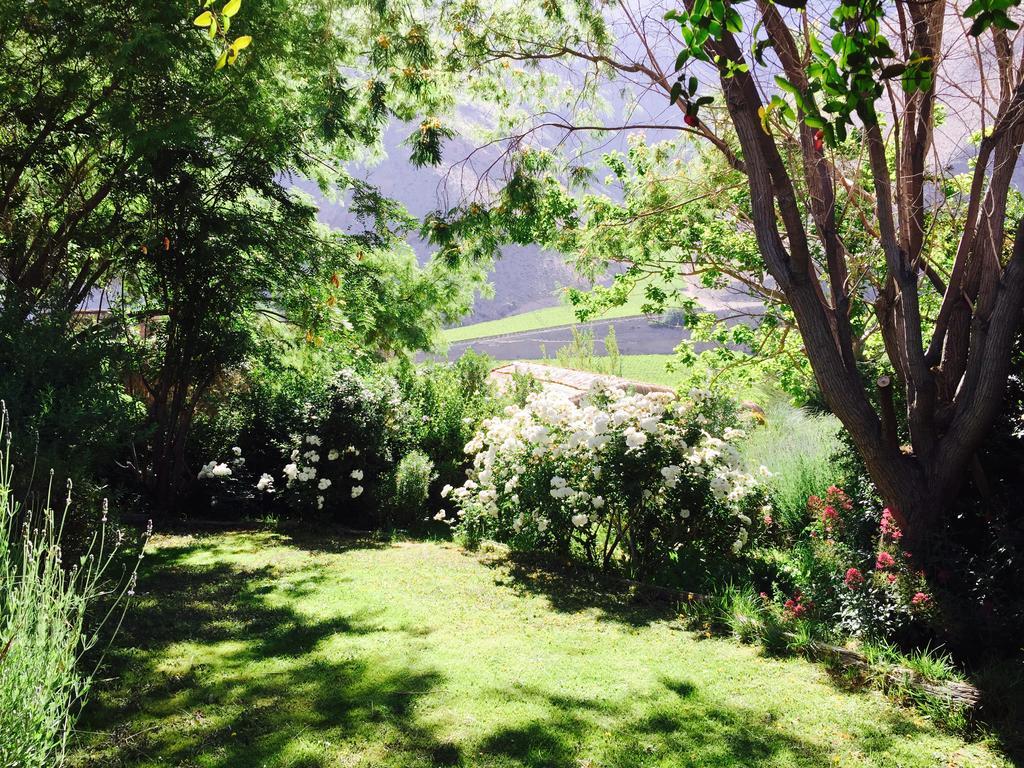 Refugio Misterios Del Elqui Bed & Breakfast Pisco Elqui Dış mekan fotoğraf