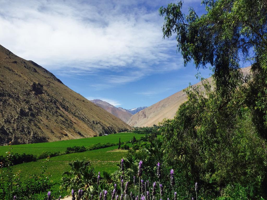 Refugio Misterios Del Elqui Bed & Breakfast Pisco Elqui Dış mekan fotoğraf