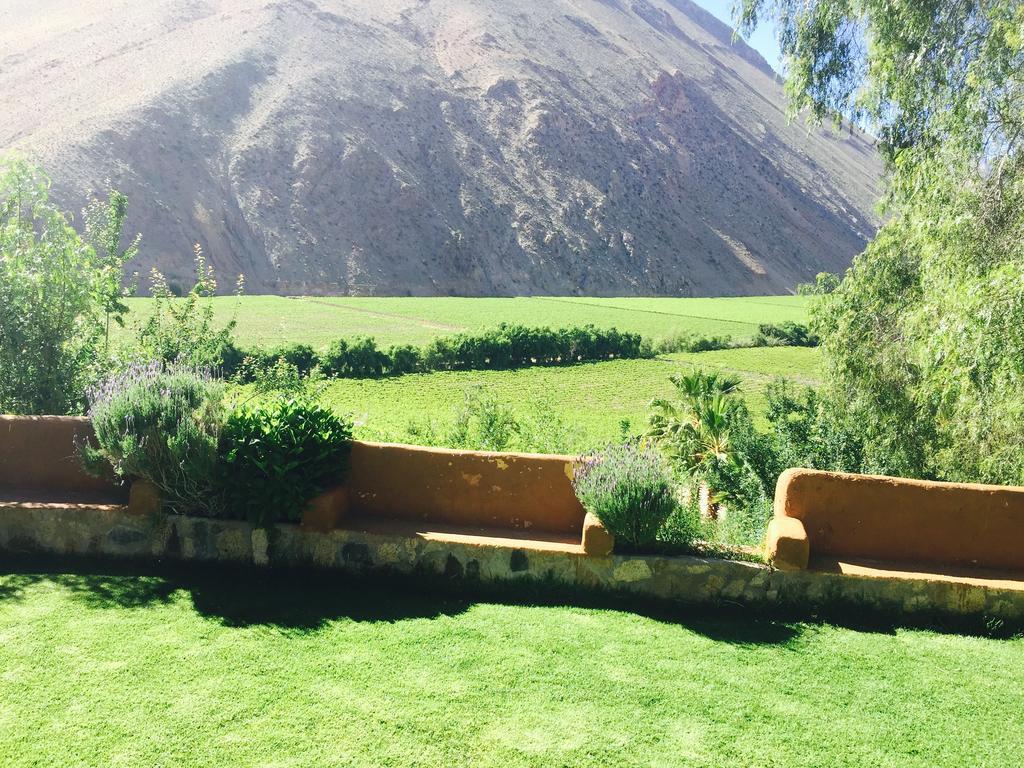Refugio Misterios Del Elqui Bed & Breakfast Pisco Elqui Dış mekan fotoğraf