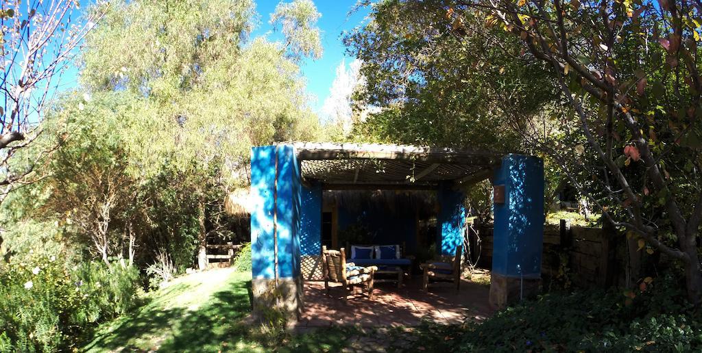Refugio Misterios Del Elqui Bed & Breakfast Pisco Elqui Dış mekan fotoğraf