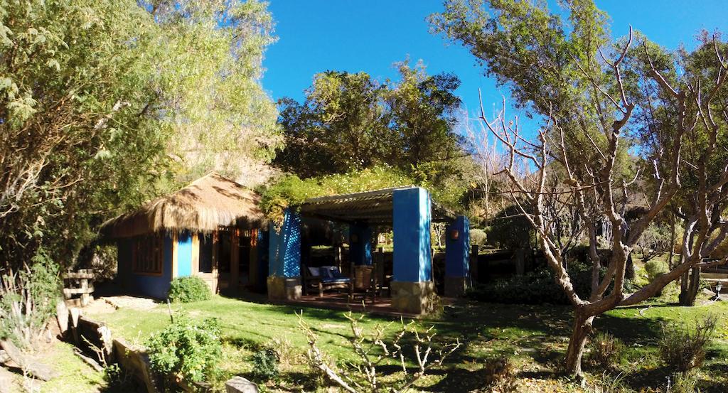 Refugio Misterios Del Elqui Bed & Breakfast Pisco Elqui Dış mekan fotoğraf