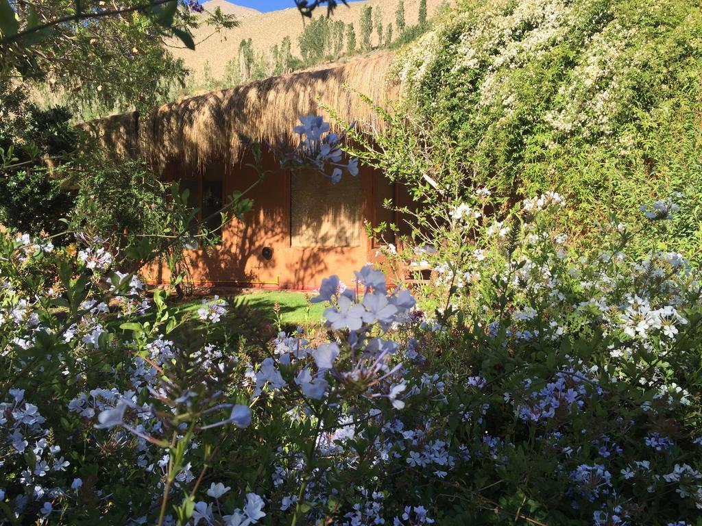 Refugio Misterios Del Elqui Bed & Breakfast Pisco Elqui Dış mekan fotoğraf