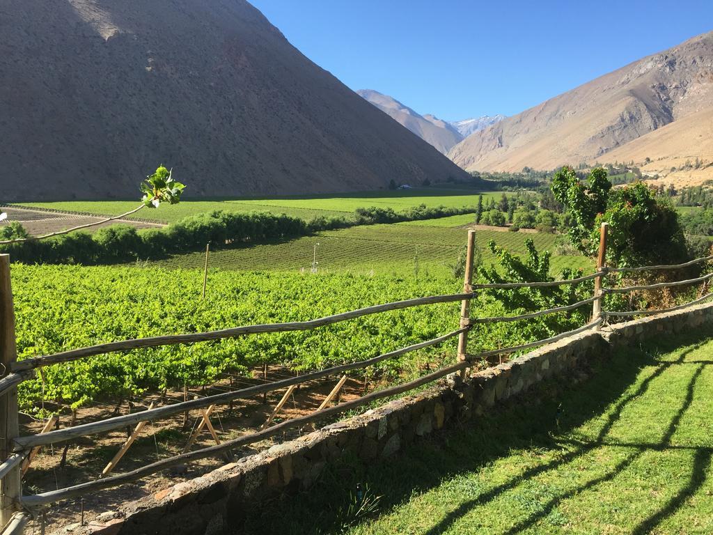 Refugio Misterios Del Elqui Bed & Breakfast Pisco Elqui Dış mekan fotoğraf