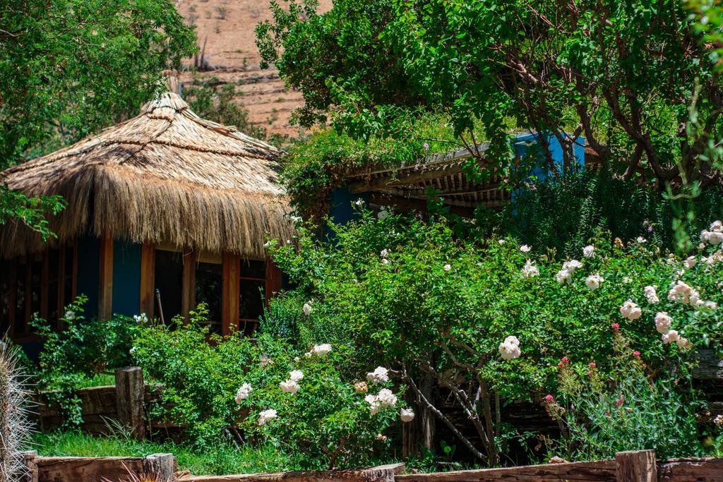 Refugio Misterios Del Elqui Bed & Breakfast Pisco Elqui Dış mekan fotoğraf