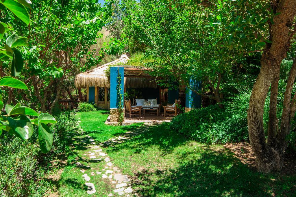 Refugio Misterios Del Elqui Bed & Breakfast Pisco Elqui Dış mekan fotoğraf