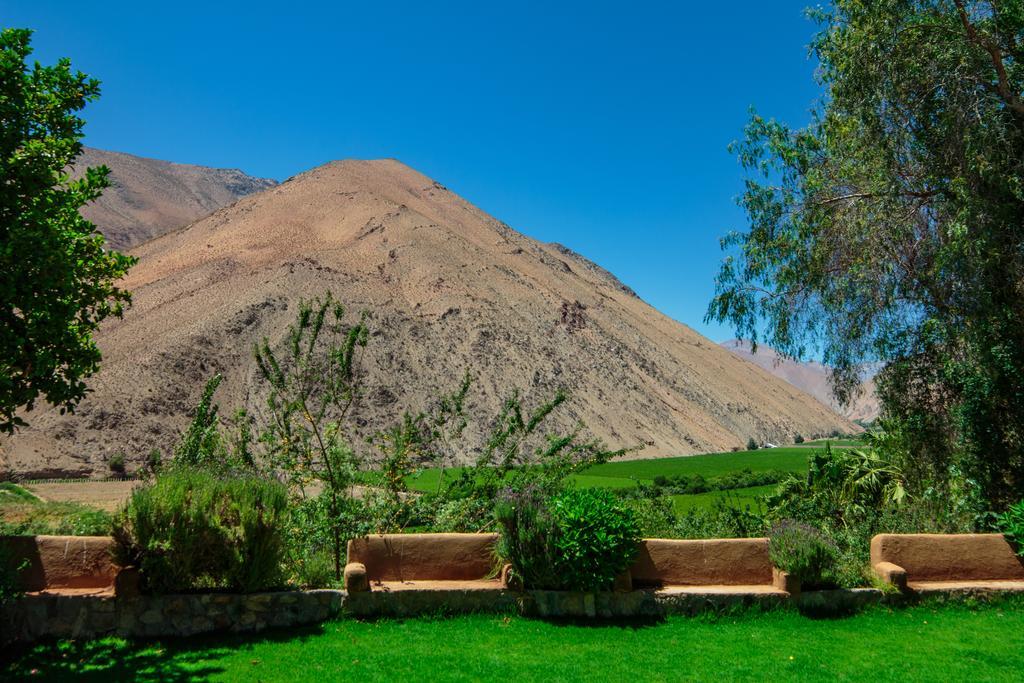 Refugio Misterios Del Elqui Bed & Breakfast Pisco Elqui Dış mekan fotoğraf