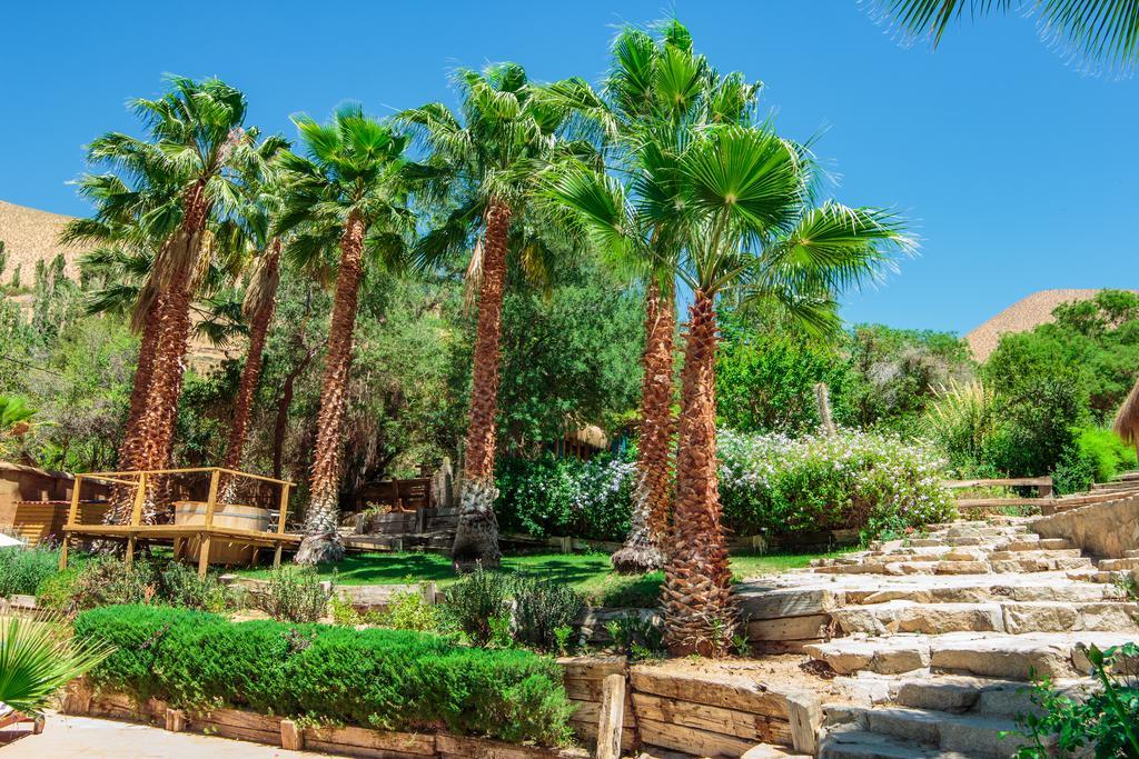 Refugio Misterios Del Elqui Bed & Breakfast Pisco Elqui Dış mekan fotoğraf