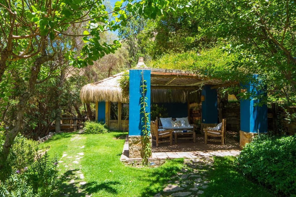 Refugio Misterios Del Elqui Bed & Breakfast Pisco Elqui Dış mekan fotoğraf
