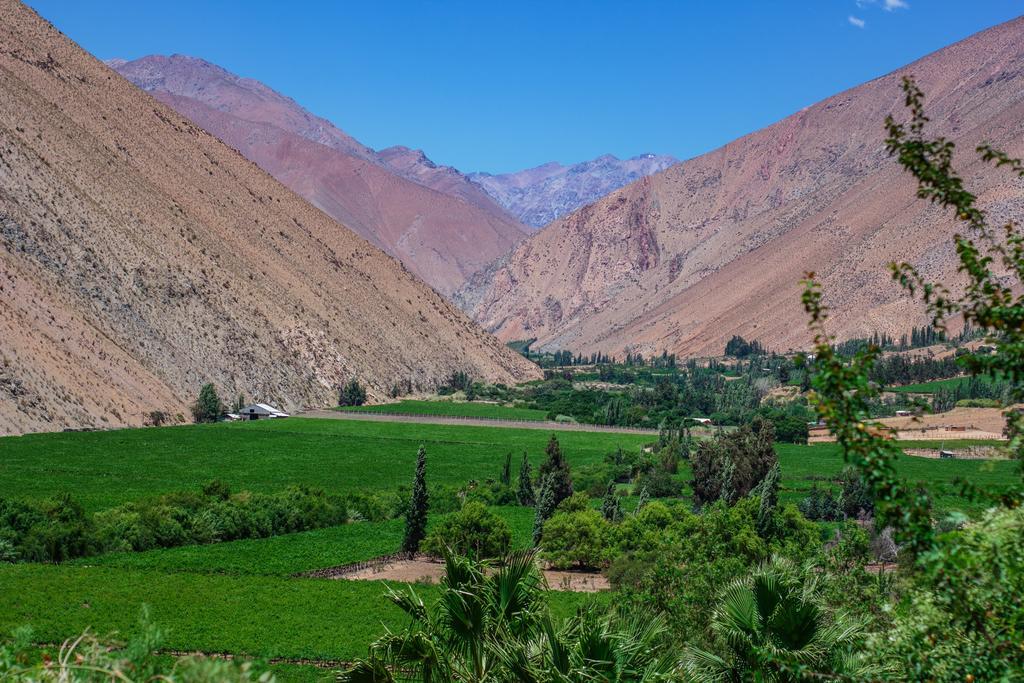 Refugio Misterios Del Elqui Bed & Breakfast Pisco Elqui Dış mekan fotoğraf
